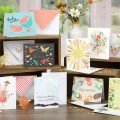 Box of assorted all-occasion greeting cards with a fun summer theme