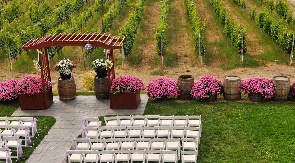 Vineyard set up for a wedding ceremony